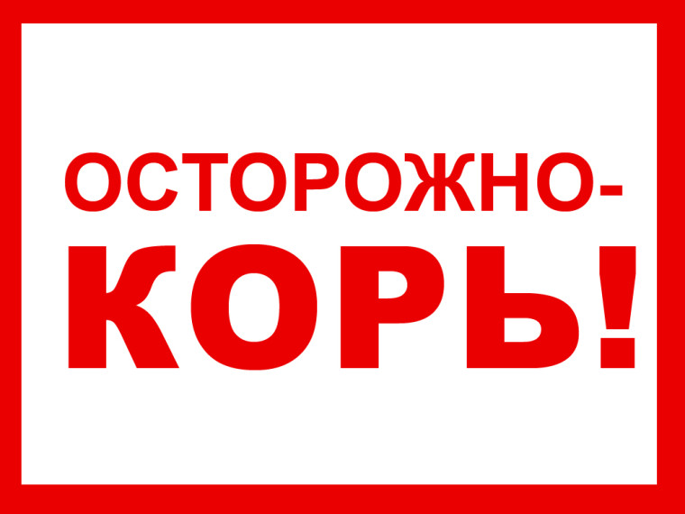 Осторожно, корь!!!.